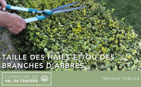 Taille des haies et/ou des branches d’arbres Val-de-Travers 2024