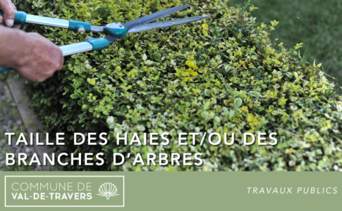 Taille des haies, des branches d’arbres Val-de-Travers